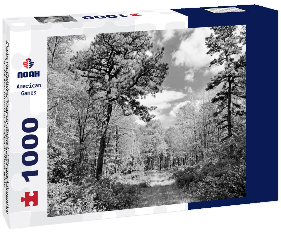 Noah Jigsaw Puzzle Pedra da Galinha Choca in Quixadá! The rock formation is really impressive, with its unique shape that resembles a chicken brooding its eggs in black white 1000 pieces