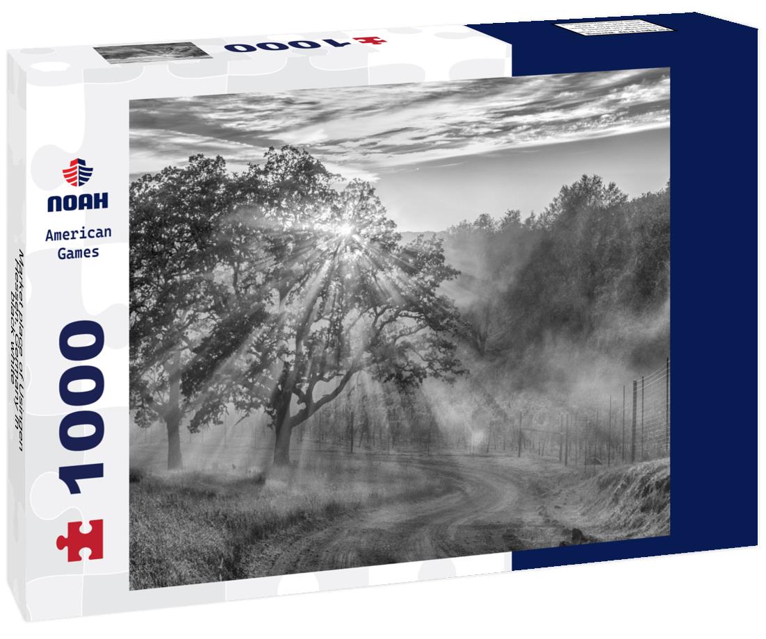 Noah Jigsaw Puzzle Market place of Usingen, Hessen, Germany in black white 1000 pieces