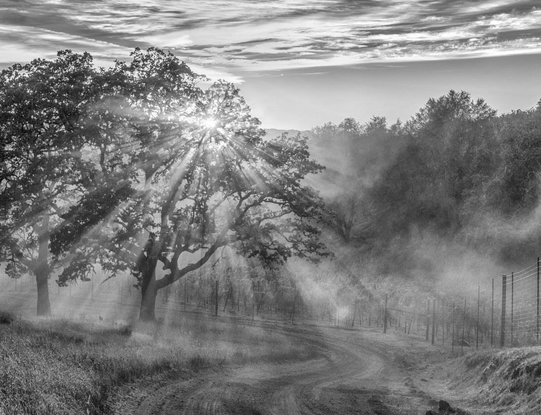 Noah Jigsaw Puzzle Market place of Usingen, Hessen, Germany in black white 1000 pieces