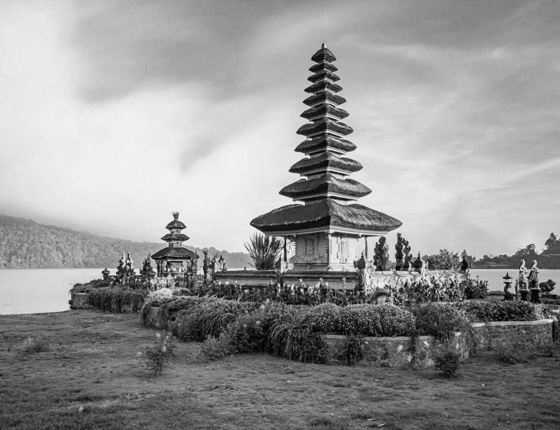 Noah Jigsaw Puzzle Giraffes in the savannah in Serengeti National Park in Tanzania. Wilderness in Tanzania, East Africa in black white 1000 pieces