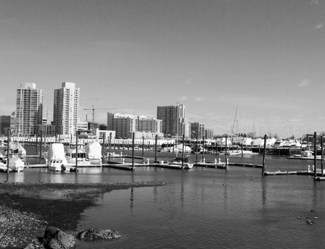 Noah Jigsaw Puzzle Kings Canyon National Park, California in black white 1000 pieces