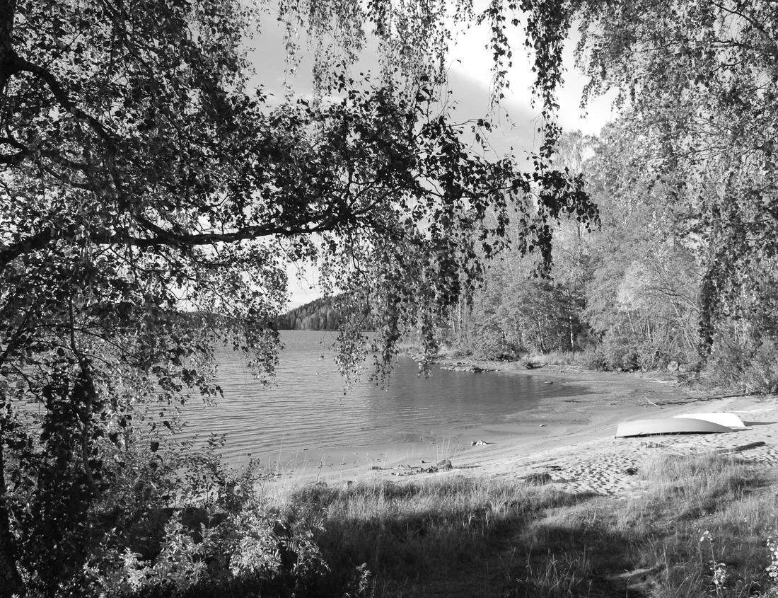 Noah Jigsaw Puzzle The central mosque of Nouakchott sponsored by Saudi Arabia, Nouakchott, Mauritania, Africa in black white 1000 pieces