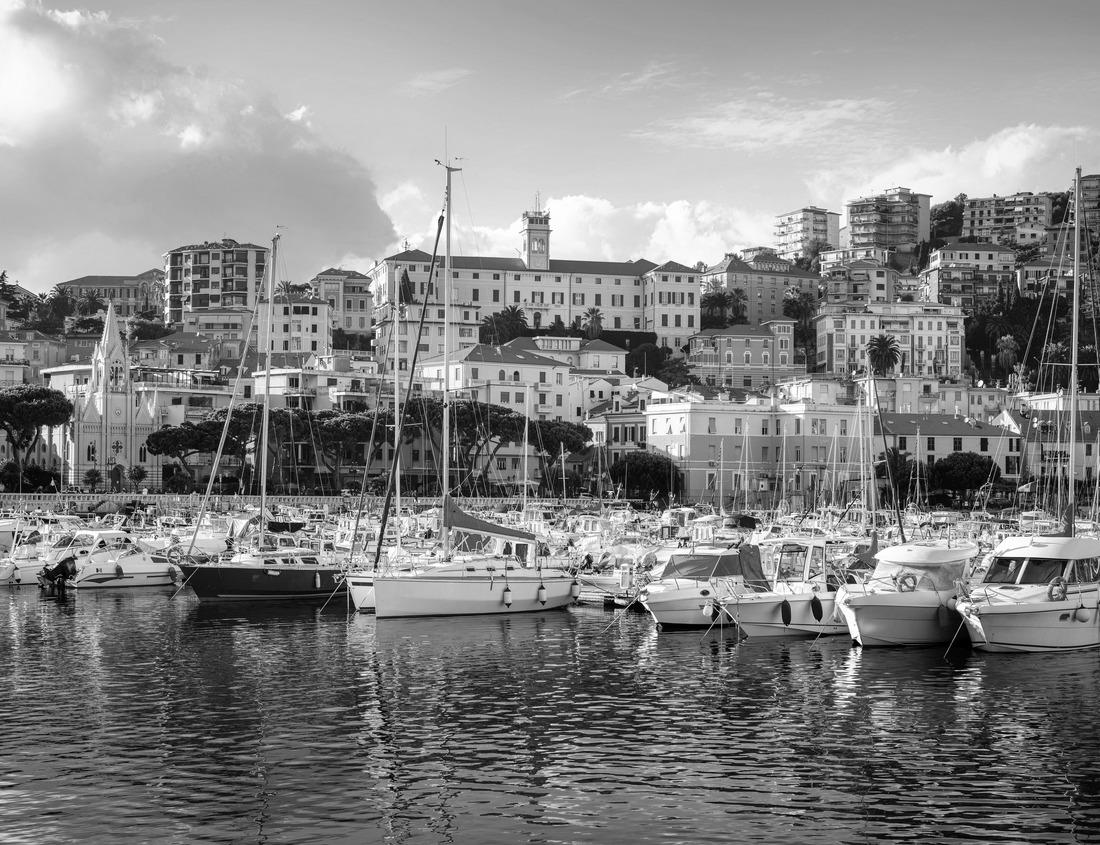 Noah Jigsaw Puzzle The Diablo Lake at North Cascades National Park in Washington State, USA in black white 1000 pieces