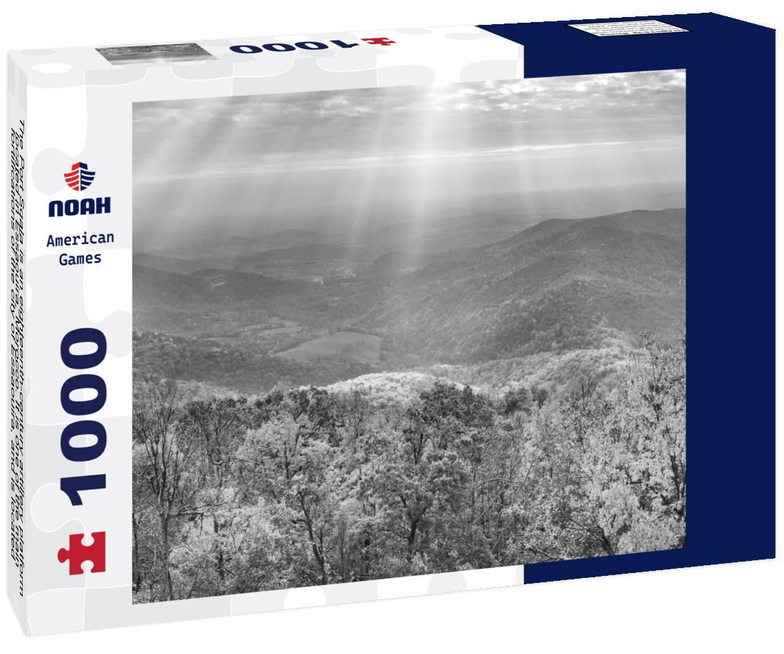 Noah Jigsaw Puzzle The Port Sqala is an eighteenth-century artillery platform located in Essaouira, Morocco. It is one of the main fortifications of the city of Essaouira, and is located in the port of Essaouira in black white 1000 pieces