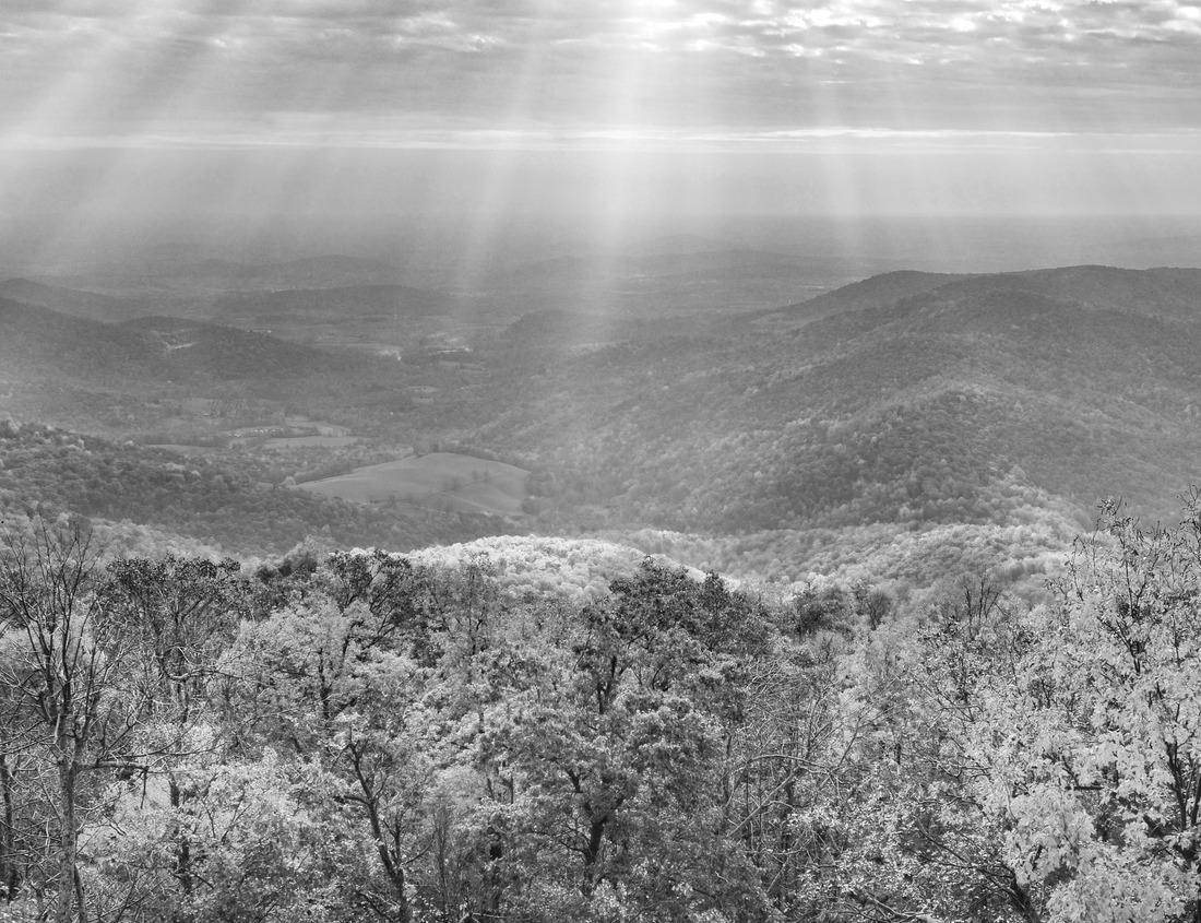 Noah Jigsaw Puzzle The Port Sqala is an eighteenth-century artillery platform located in Essaouira, Morocco. It is one of the main fortifications of the city of Essaouira, and is located in the port of Essaouira in black white 1000 pieces