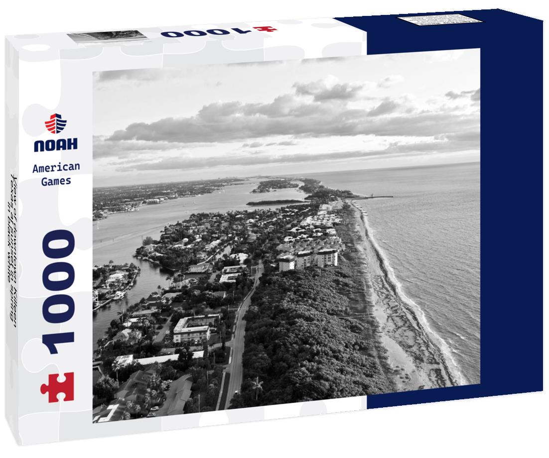 Noah Jigsaw Puzzle View of downtown Killeen, Texas at sunset in spring in black white 1000 pieces