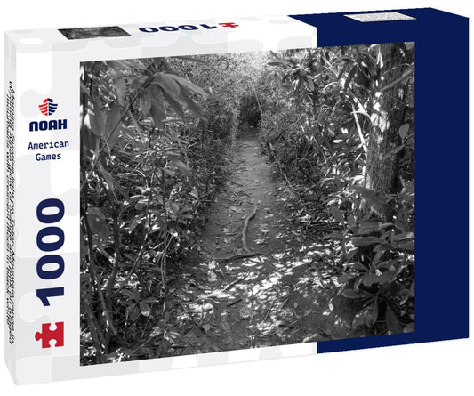 Noah Jigsaw Puzzle Morning Sunrise light on Teton Mountain range in Wyoming Alpen glow of orange and pink on rugged mountains with crescent moon in black white 1000 pieces