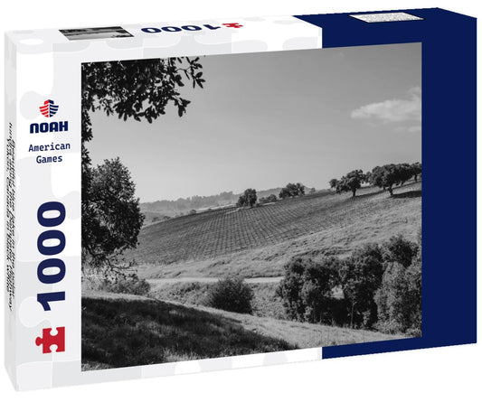 Noah Jigsaw Puzzle Beautiful blue lake in the polar tundra along the Dempster Highway, Yukon, Canada in black white 1000 pieces