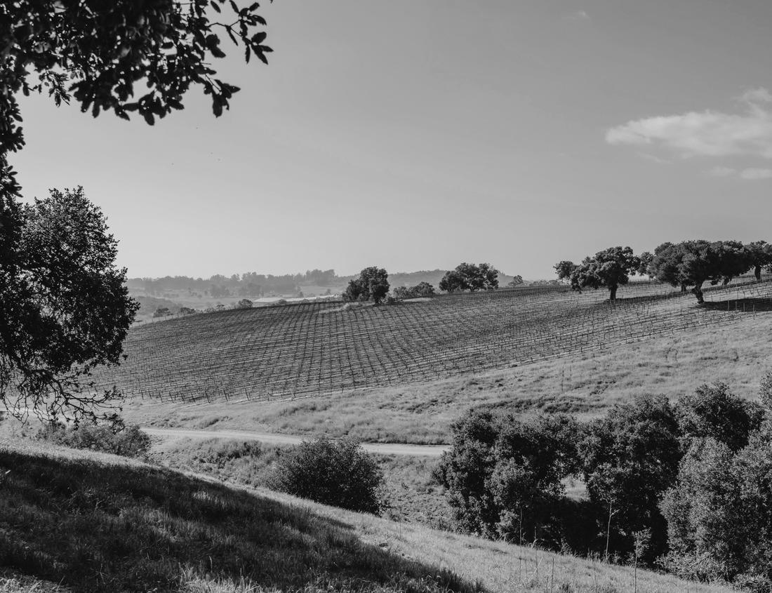 Noah Jigsaw Puzzle Beautiful blue lake in the polar tundra along the Dempster Highway, Yukon, Canada in black white 1000 pieces