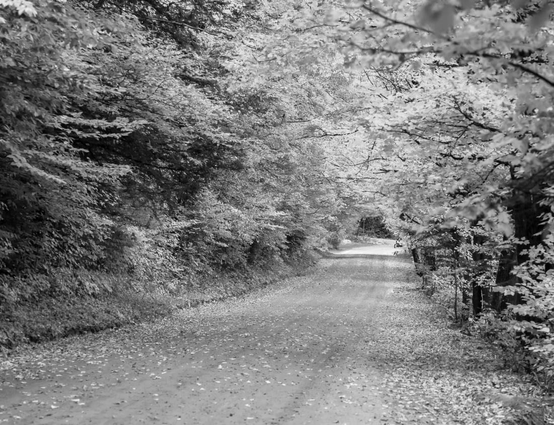 Noah Jigsaw Puzzle Clingmans Dome is located in the Great Smoky Mountains National Park in North Carolina with a circular lookout tower with panoramic views and an elevation of 6,643 feet in black white 1000 pieces