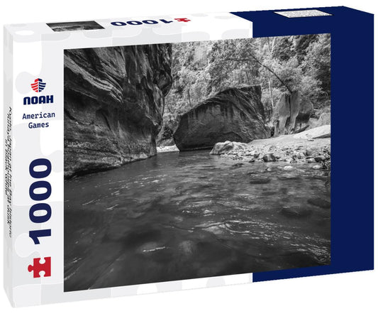 Noah Jigsaw Puzzle Kyoto, Japan at Ine Bay historic funaya boathouses at dusk in black white 1000 pieces