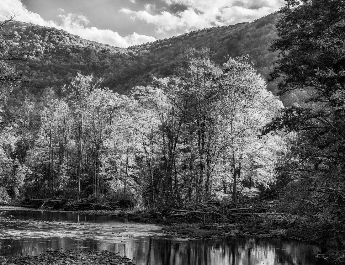 Noah Jigsaw Puzzle Beautiful view of the city of Porto on a beautiful summer day. Porto, Portugal in black white 1000 pieces