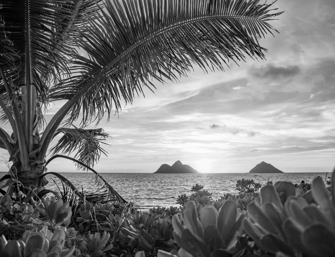 Noah Jigsaw Puzzle Old city of Agios Nikolaos, Island Crete, Greece in black white 1000 pieces