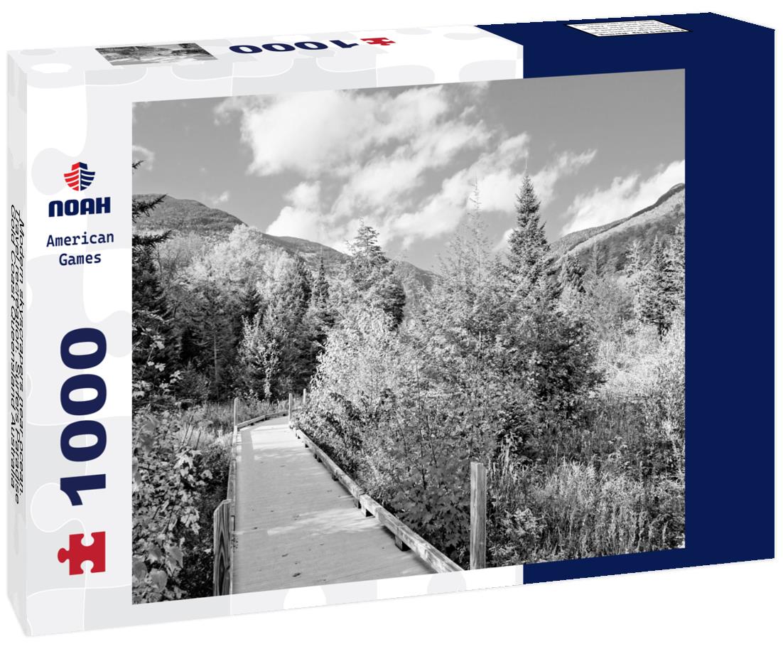 Noah Jigsaw Puzzle Modern skyscrapers near ocean. Travel recreation. Surfers Paradise, Gold Coast Queensland Australia in black white 1000 pieces