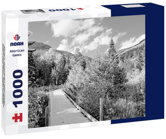 Noah Jigsaw Puzzle Modern skyscrapers near ocean. Travel recreation. Surfers Paradise, Gold Coast Queensland Australia in black white 1000 pieces