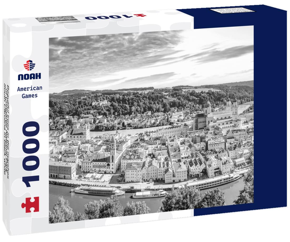 Noah Jigsaw Puzzle Beautiful trees in the marshes of Congaree National Park, South Carolina in black white 1000 pieces