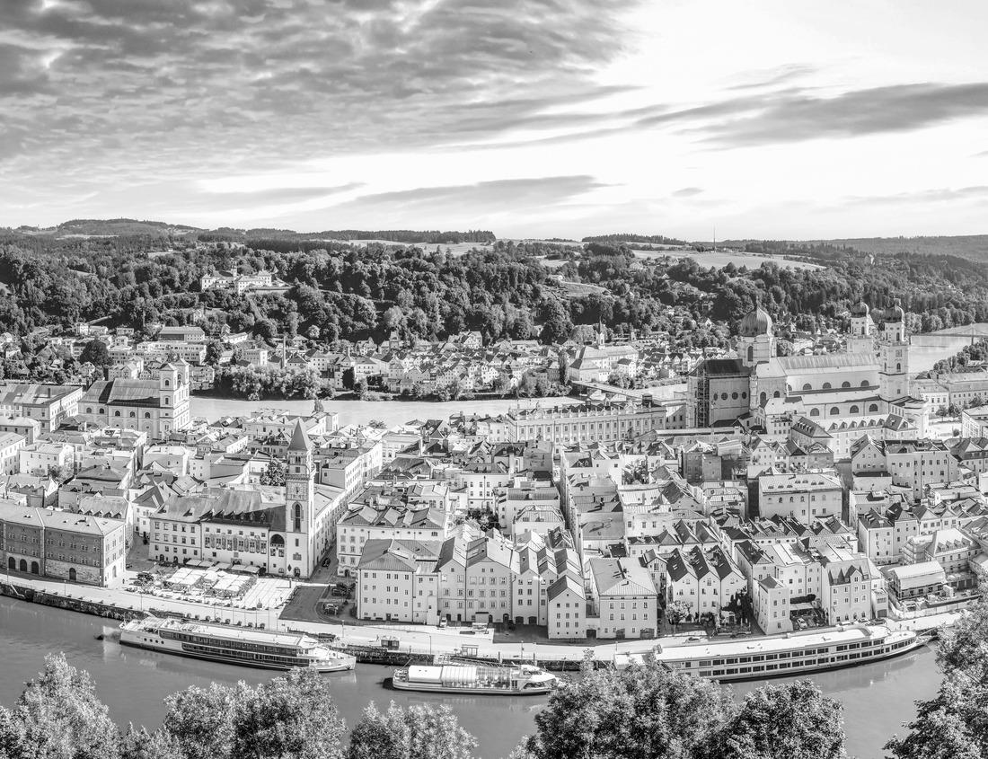 Noah Jigsaw Puzzle Beautiful trees in the marshes of Congaree National Park, South Carolina in black white 1000 pieces