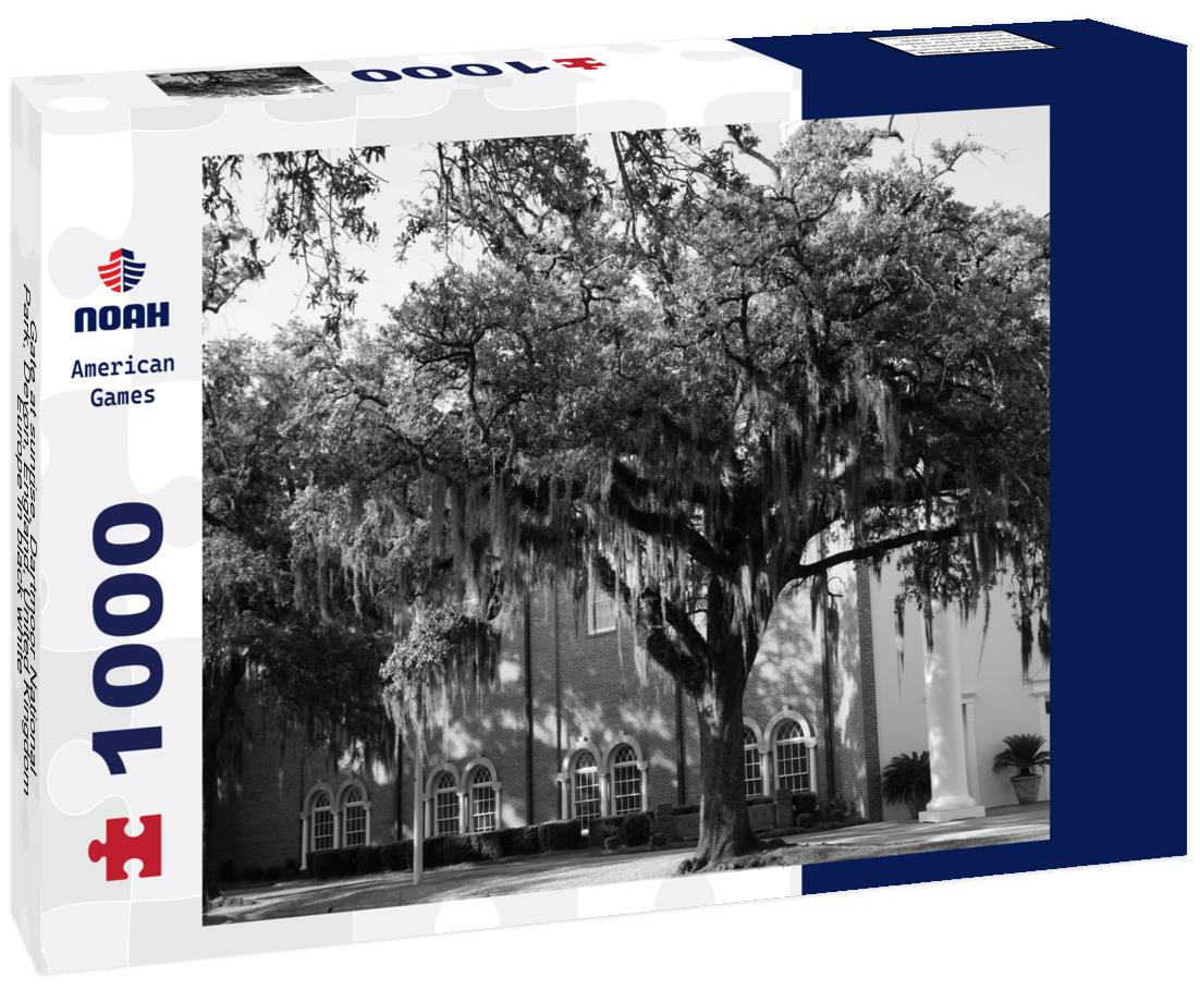 Noah Jigsaw Puzzle Gate at sunrise, Dartmoor National Park, Devon, England, United Kingdom, Europe in black white 1000 pieces