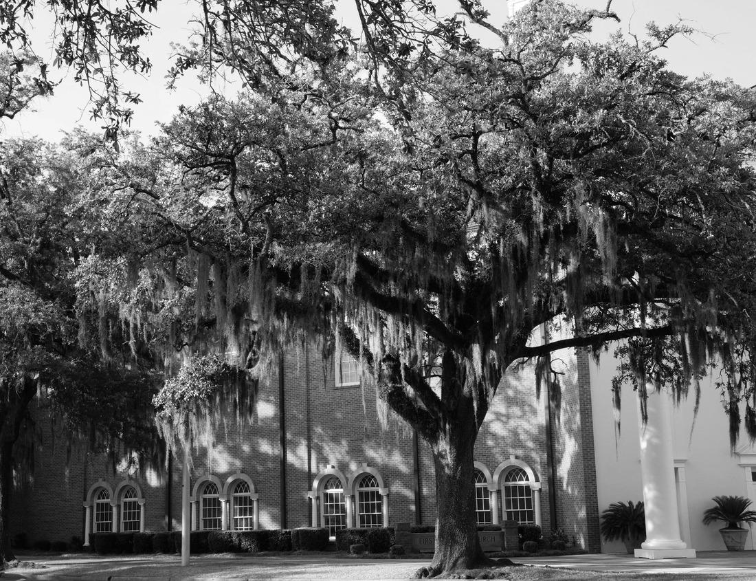 Noah Jigsaw Puzzle Gate at sunrise, Dartmoor National Park, Devon, England, United Kingdom, Europe in black white 1000 pieces