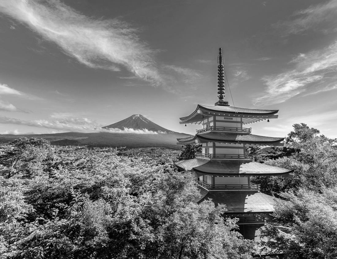 Noah Jigsaw Puzzle Beautiful blooming cherry blossoms with Mount Fuji in the background and a Urui river in the foreground is a popular tourist spot in Fuji City, Shizuoka Japan in black white 1000 pieces