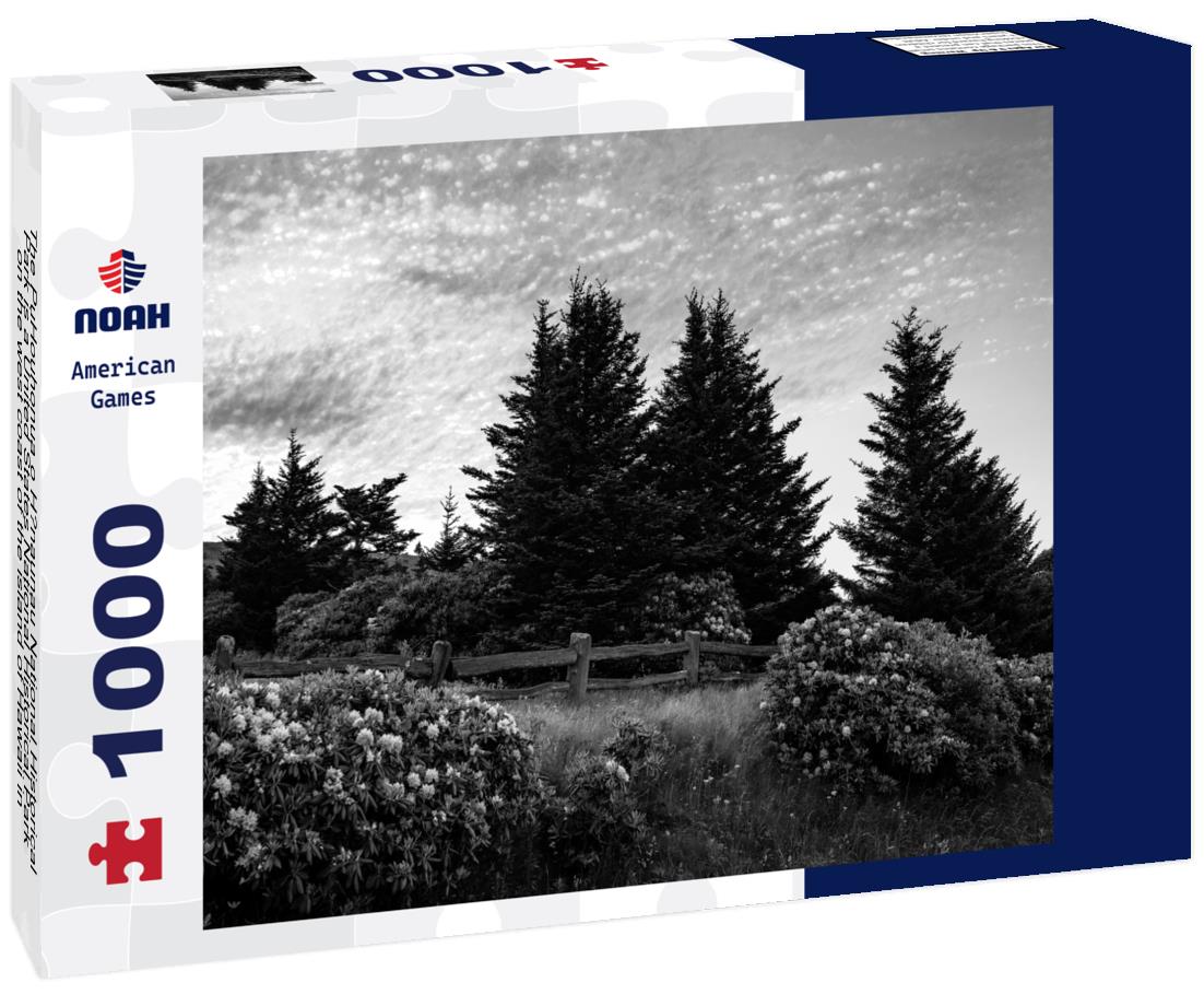 Noah Jigsaw Puzzle The PuHouhonua o Honaunau National Historical Park is a United States National Historical Park on the west coast of the island of Hawaii in the state of Hawaii in black white 1000 pieces