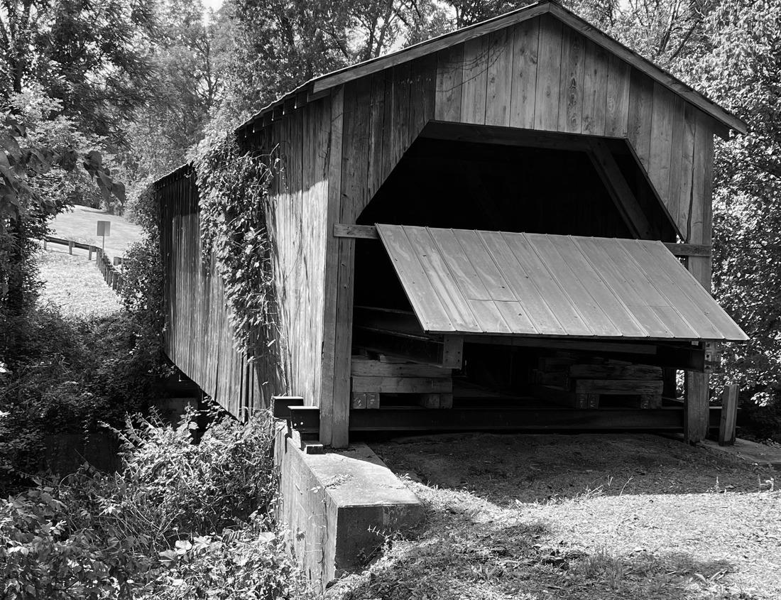 Noah Jigsaw Puzzle Ziz Valley, Morocco. Beautiful oasis landscape with palm trees in High Atlas mountains, North Africa in black white 1000 pieces