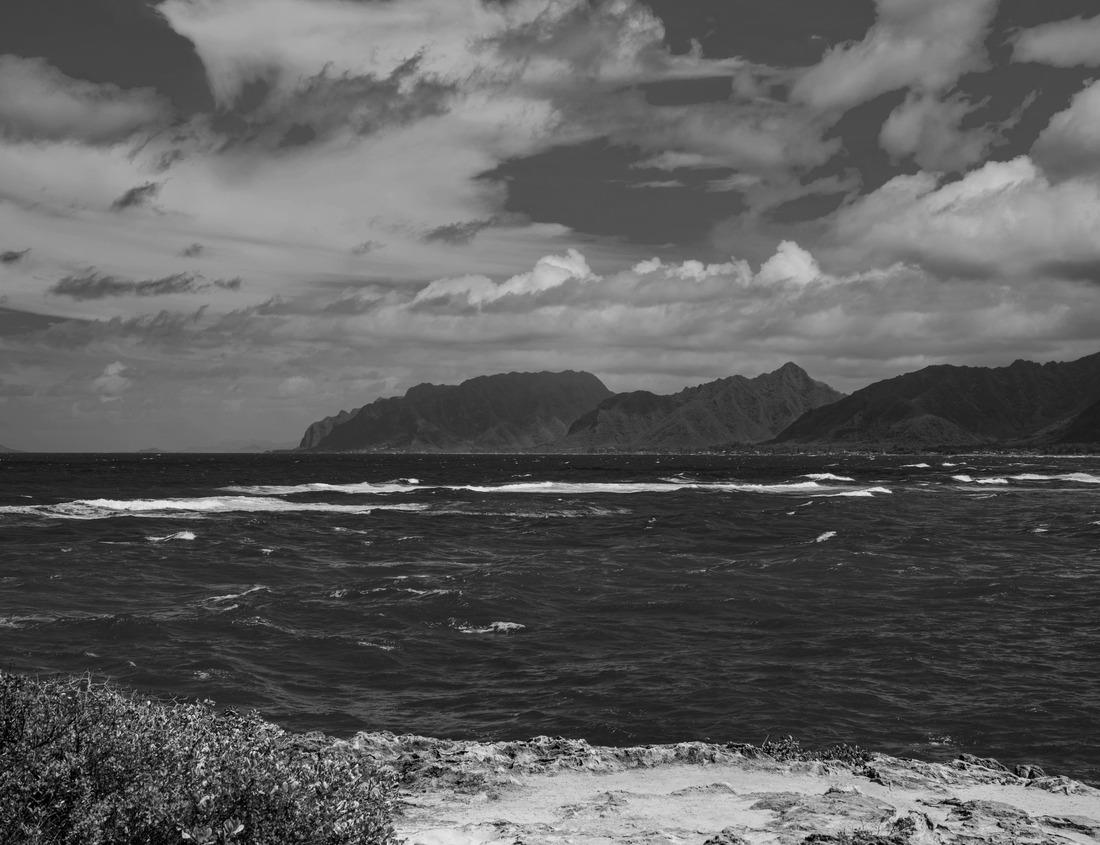Noah Jigsaw Puzzle Chefchaouen, the small town in the north of Morocco, is famous because all the buildings are blue in black white 1000 pieces