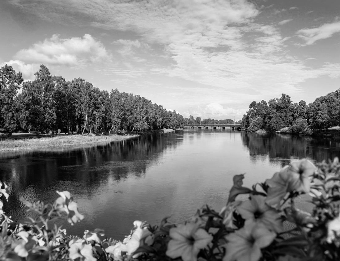 Noah Jigsaw Puzzle Beautiful lake of Camecuaro Michoacán, Mexico, with its amazing turquoise water, where the roots of the ahuehuete trees reach the lagoon and the sun's rays pass through the branches of the trees in black white 1000 pieces