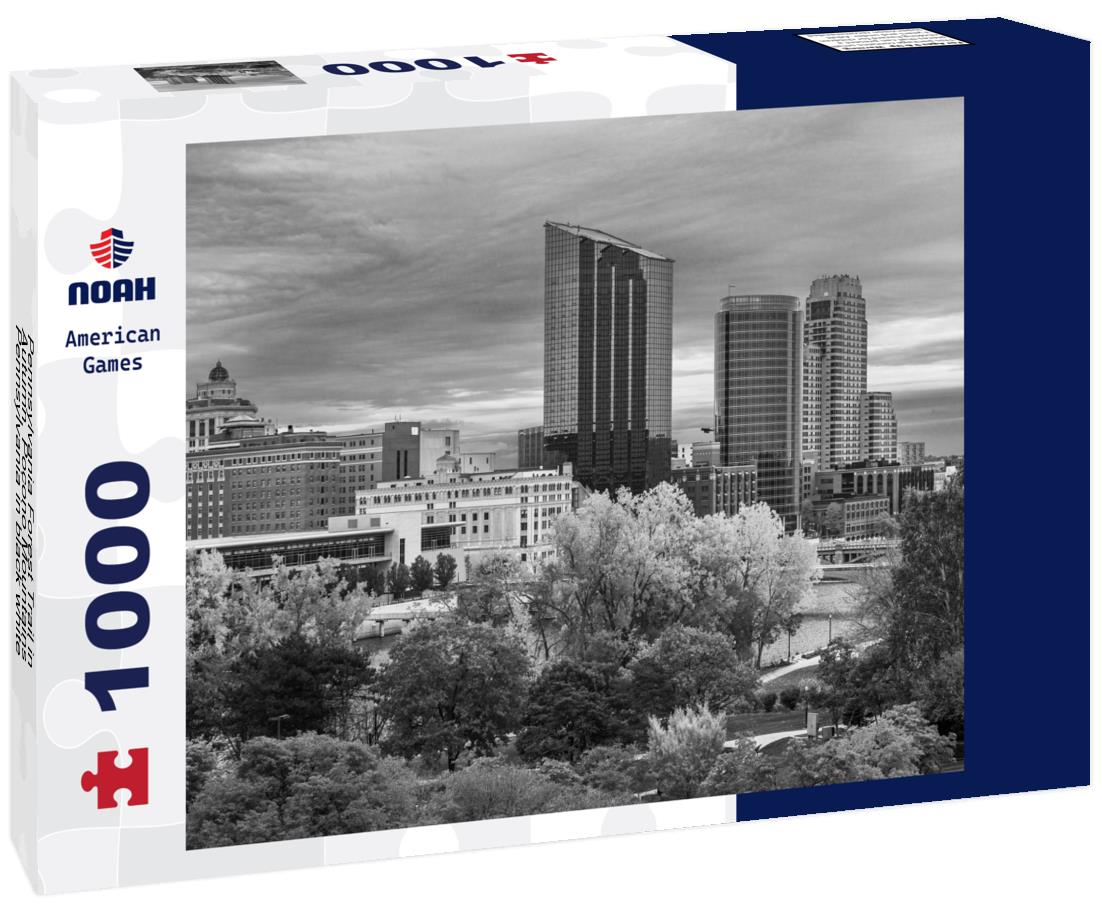 Noah Jigsaw Puzzle Pennsylvania Forest Trail in Autumn, Pocono Mountains, Pennsylvania in black white 1000 pieces