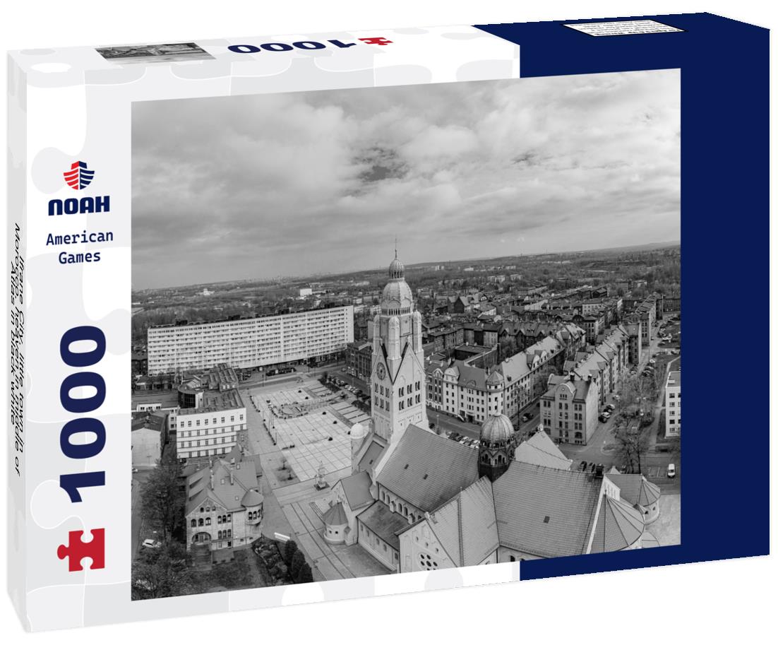 Noah Jigsaw Puzzle Ifrane City, little town in Morocco, heaven in middle of Atlas in black white 1000 pieces