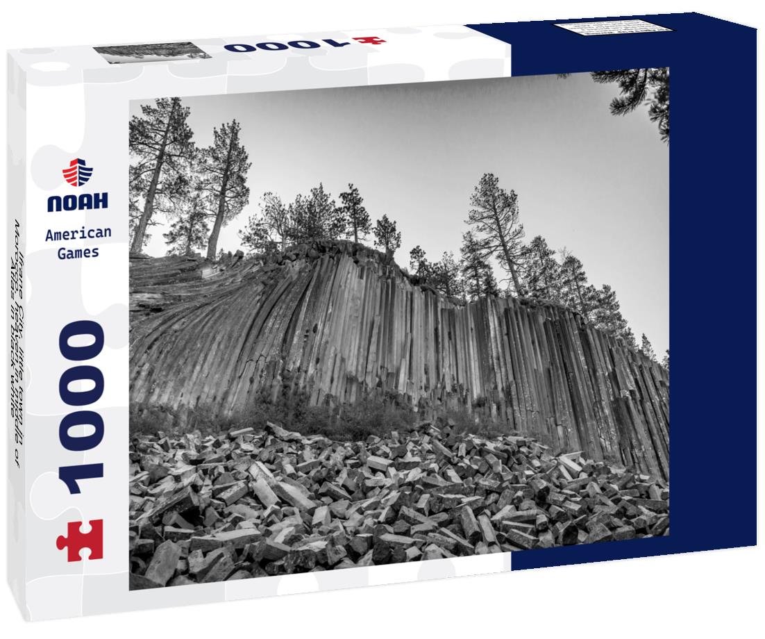 Noah Jigsaw Puzzle Ifrane City, little town in Morocco, heaven in middle of Atlas in black white 1000 pieces