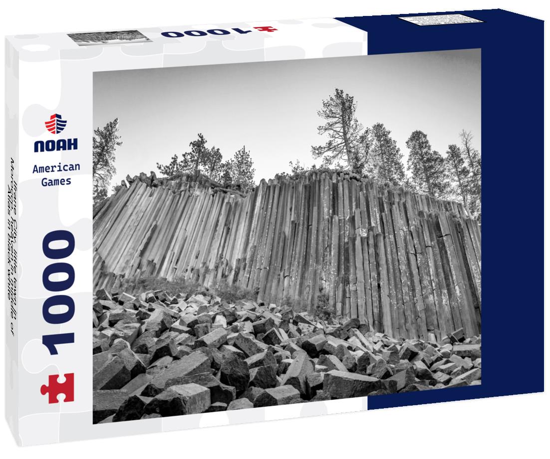 Noah Jigsaw Puzzle Ifrane City, little town in Morocco, heaven in middle of Atlas in black white 1000 pieces