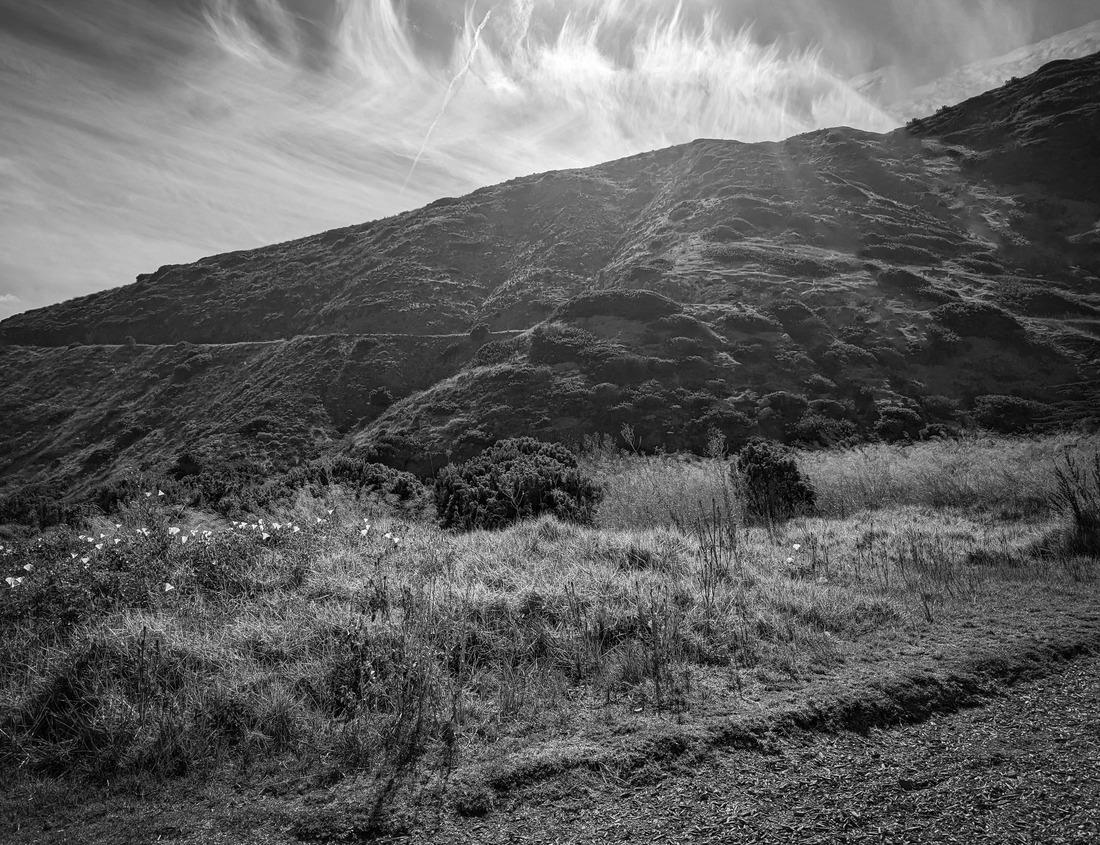 Noah Jigsaw Puzzle View at aerial view of Lynn City Hall located at 3 City Hall Square in historic downtown Lynn, Massachusetts MA, USA in black white 1000 pieces