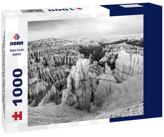 Noah Jigsaw Puzzle Needham Town Hall aerial view at 1471 Highland Avenue in historic town center of Needham, Massachusetts MA in black white 1000 pieces