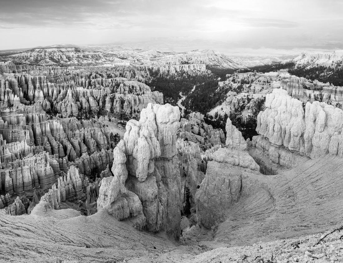 Noah Jigsaw Puzzle Needham Town Hall aerial view at 1471 Highland Avenue in historic town center of Needham, Massachusetts MA in black white 1000 pieces