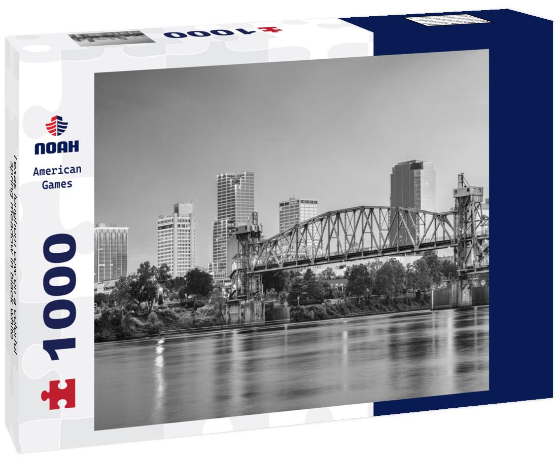 Noah Jigsaw Puzzle Texas longhorn cow on a colorful spring meadow in black white 1000 pieces