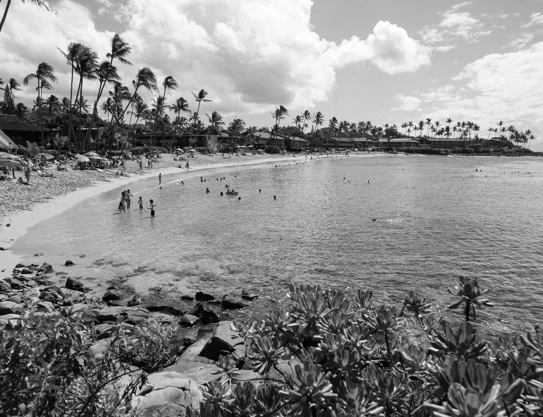 Noah Jigsaw Puzzle Red telephone boxes on Victoria embankment and Big Ben tower, London, UK in black white 1000 pieces