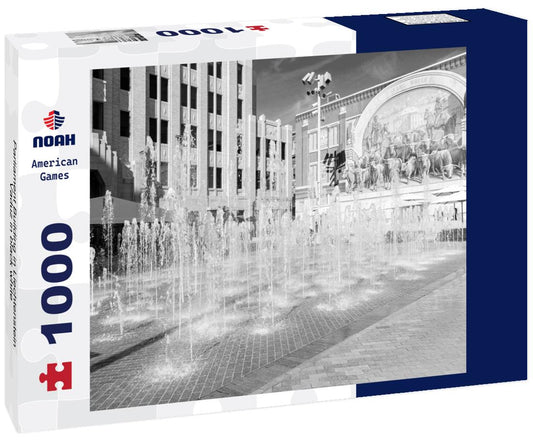 Noah Jigsaw Puzzle Parliament Building in Liechtenstein, Vaduz in black white 1000 pieces