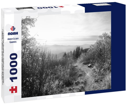 Noah Jigsaw Puzzle Charles Bridge in Prague in Czechia. Prague, Czech Republic. Charles Bridge (Karluv Most) and Old Town Tower. Vltava River and Charles Bridge in black white 1000 pieces