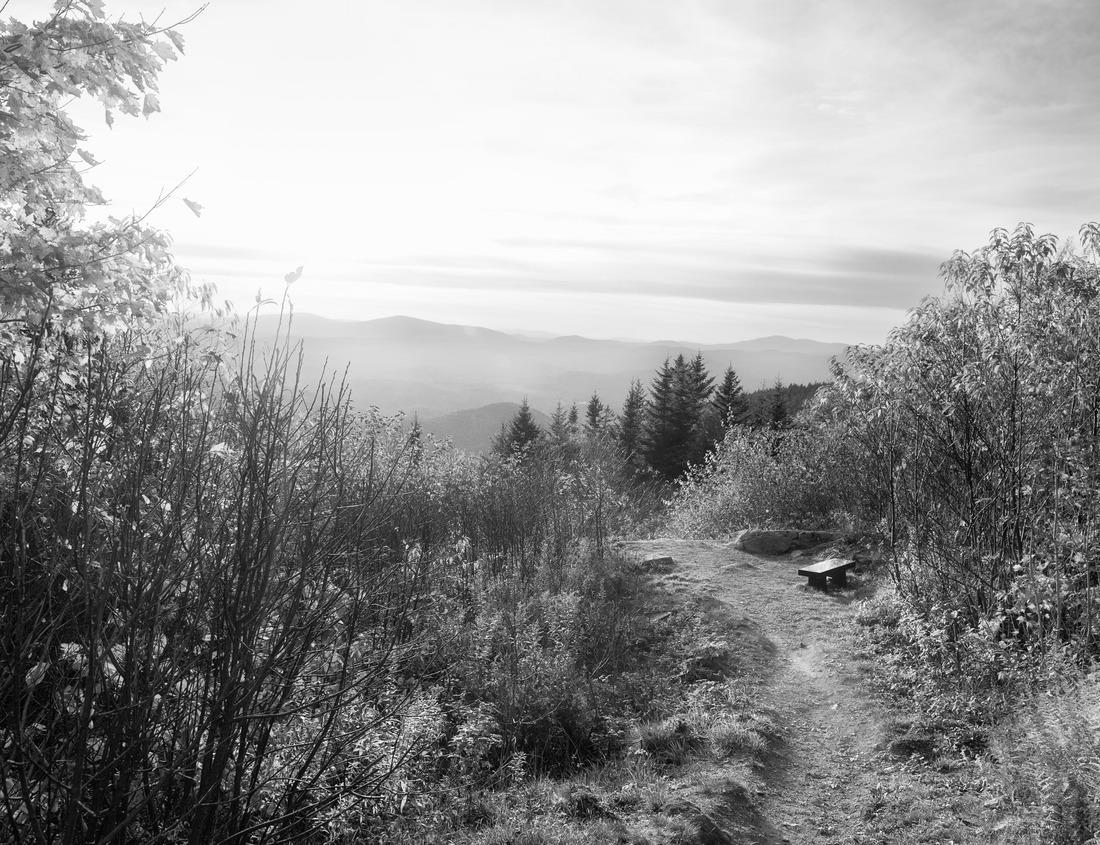 Noah Jigsaw Puzzle Charles Bridge in Prague in Czechia. Prague, Czech Republic. Charles Bridge (Karluv Most) and Old Town Tower. Vltava River and Charles Bridge in black white 1000 pieces