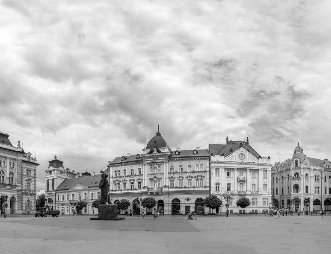 Noah Jigsaw Puzzle Aerial view of beautiful Nissi beach in Ayia Napa, Cyprus. Nissi beach in Ayia Napa famous tourist beach in Cyprus. A view of a azzure water and Nissi beach in Aiya Napa, Cyprus in black white 1000 pieces