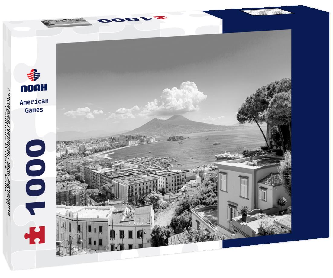 Noah Jigsaw Puzzle Pinnacles National Park, panorama, mid-day sunlight, early Spring, California in black white 1000 pieces