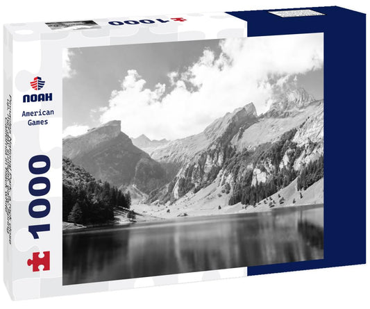 Noah Jigsaw Puzzle Pinnacles National Park, a rock close-up, mid-day sunlight, early Spring, California in black white 1000 pieces