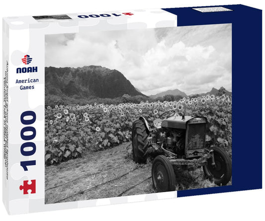 Noah Jigsaw Puzzle Autumn forest adorns isolated farmhouse under clouds, mountain backdrop, Vermont, USA in black white 1000 pieces