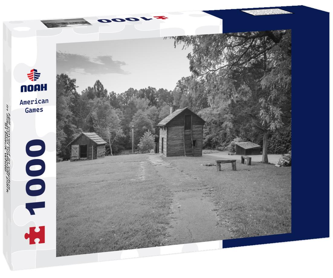 Noah Jigsaw Puzzle Hill covered in cactus in Saguaro national park in black white 1000 pieces