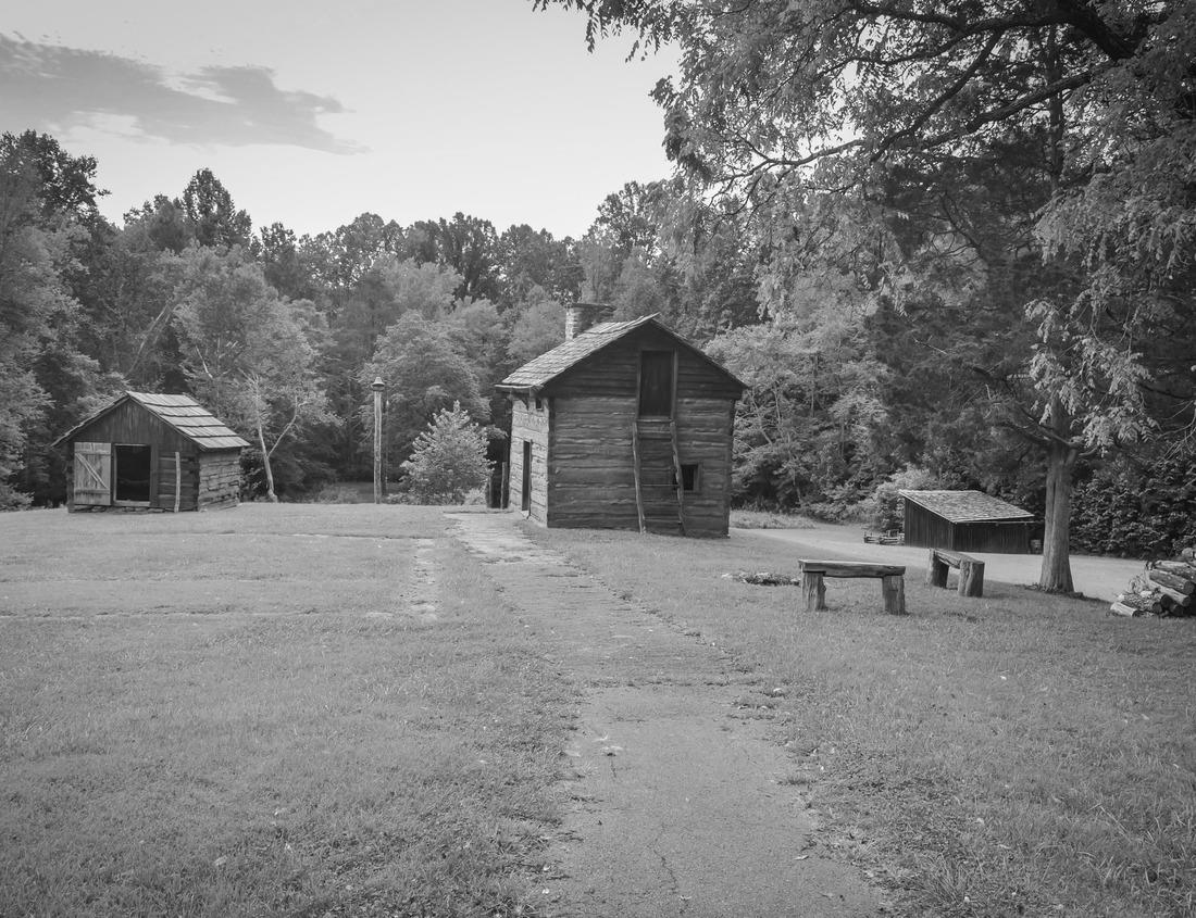Noah Jigsaw Puzzle Hill covered in cactus in Saguaro national park in black white 1000 pieces