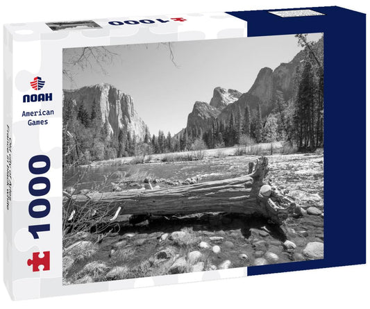 Noah Jigsaw Puzzle Old city of Arles, France in black white 1000 pieces