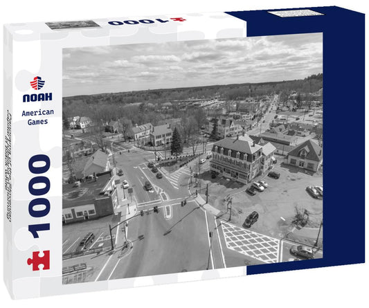 Noah Jigsaw Puzzle Panorama of the Slovenian capital Ljubljana in morning in black white 1000 pieces