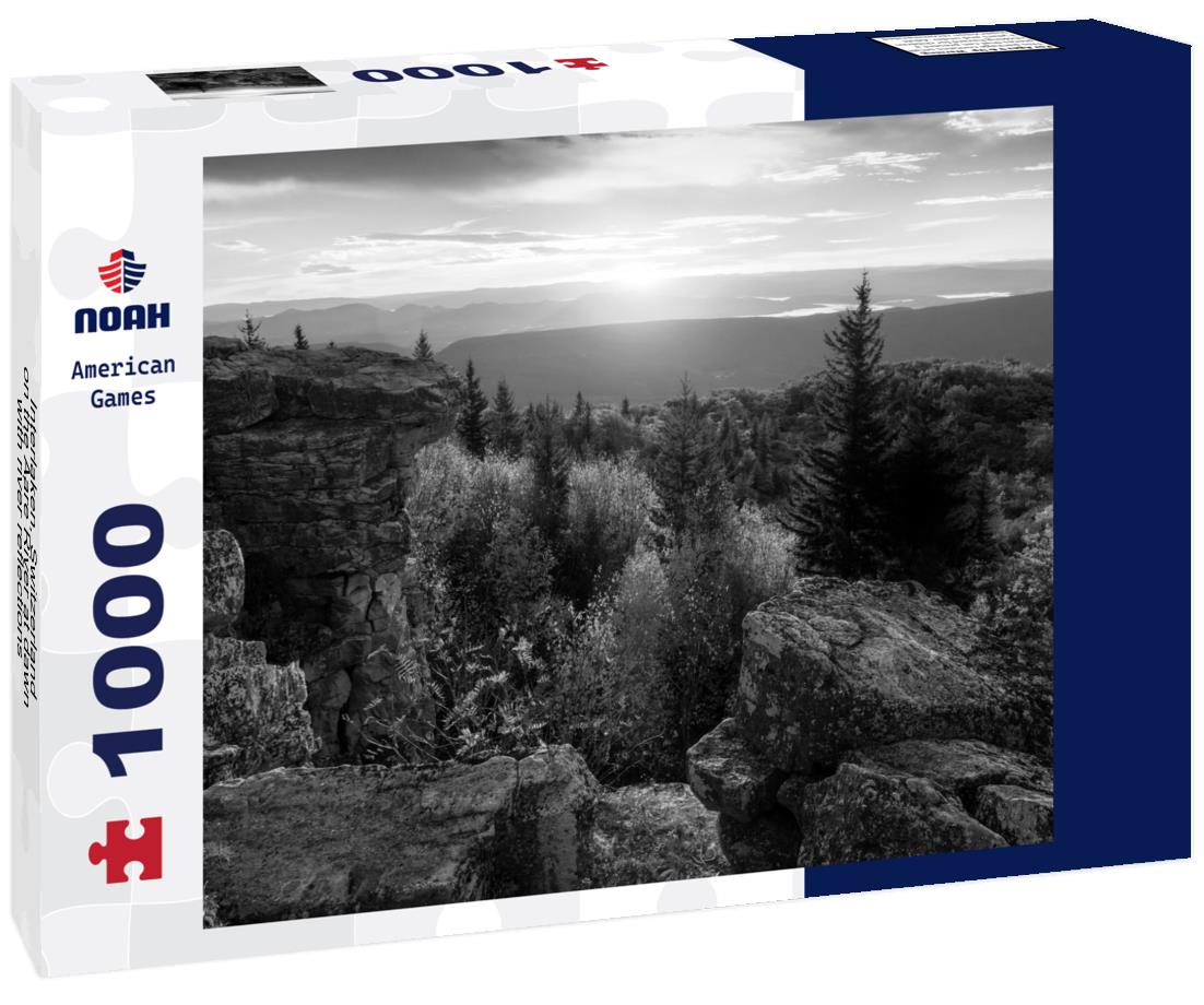 Noah Jigsaw Puzzle Interlaken, Switzerland on the Aare River at dawn with river reflections in black white 1000 pieces