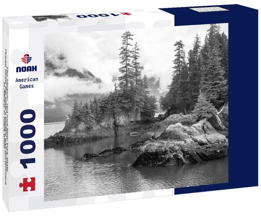 Noah Jigsaw Puzzle The Historic, red roof New York State House hosts the state's politics and government in Albany in black white 1000 pieces